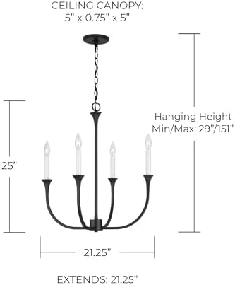 Capital Lighting 452341BI Decklan Transitional Chandelier