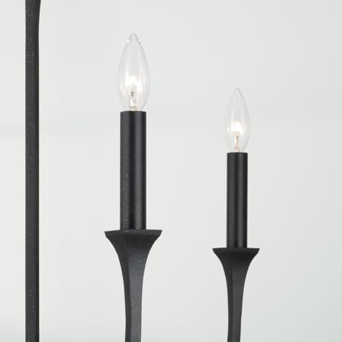 Capital Lighting 452341BI Decklan Transitional Chandelier