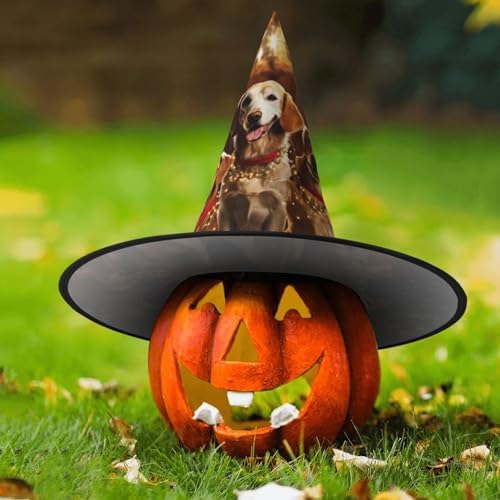 Witch Hats Halloween Wizard Costume Party Hat