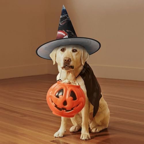 Witch Hats Halloween Cone Wizard Hat Costume Cosplay