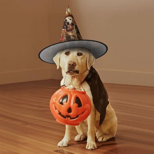 Witch Hats Halloween Wizard Costume Party Hat