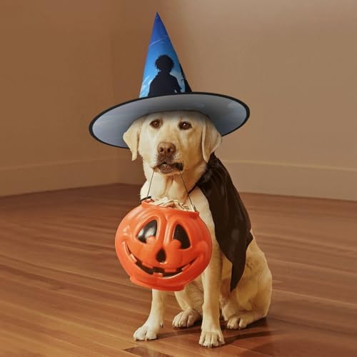 Starlight Print Pointed Halloween Witch Hat