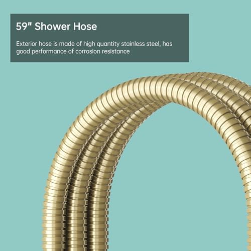 Hoimpro 2 In 1 Handheld Shower Head Set with High Pressure and Brushed Gold Finish