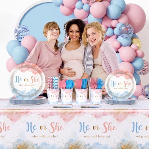 AIBIIN 194 PCS Gender Reveal Decorations Set
