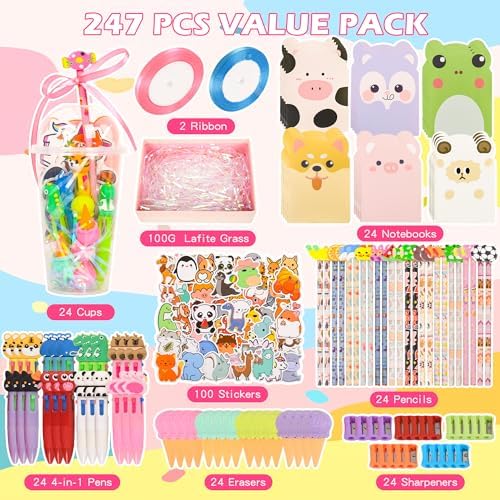 247 Pcs Birthday Return Gifts for Kids and Teachers