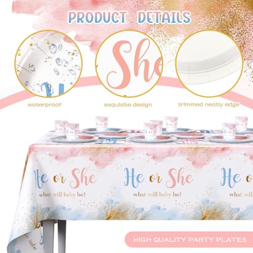 AIBIIN 194 PCS Gender Reveal Decorations Set