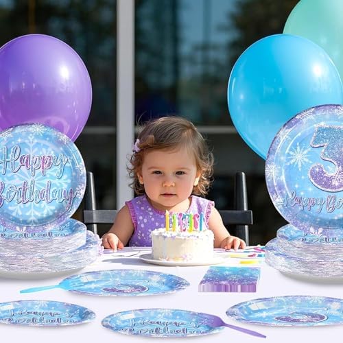 Frozen Themed Party Plates with Snowflake Design for 3rd Birthday
