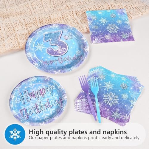Frozen Themed Party Plates with Snowflake Design for 3rd Birthday