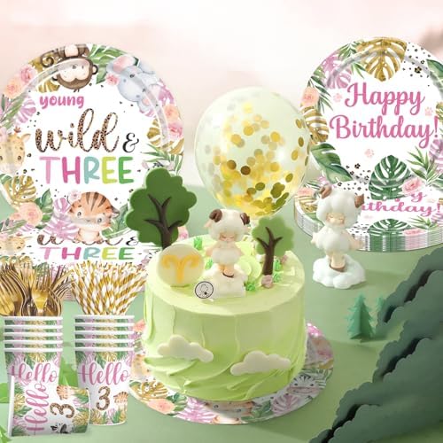 138 Piece Young Wild and Free Party Decorations Plate Set