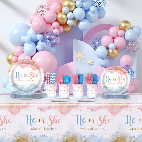 AIBIIN 194 PCS Gender Reveal Decorations Set