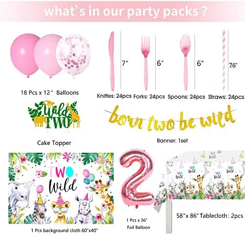 Two Wild Birthday Decorations Dinnerware for Girl