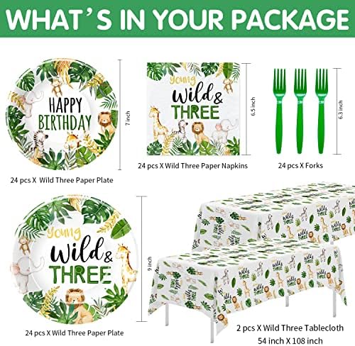 Jungle Animal 3rd Birthday Party Decorations Set Serves 24
