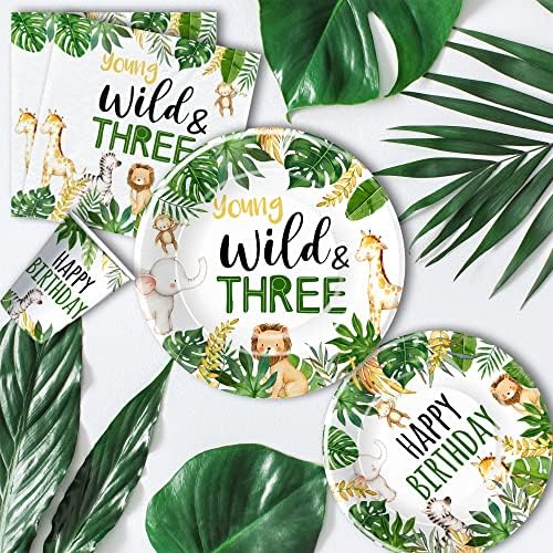 Jungle Animal 3rd Birthday Party Decorations Set Serves 24