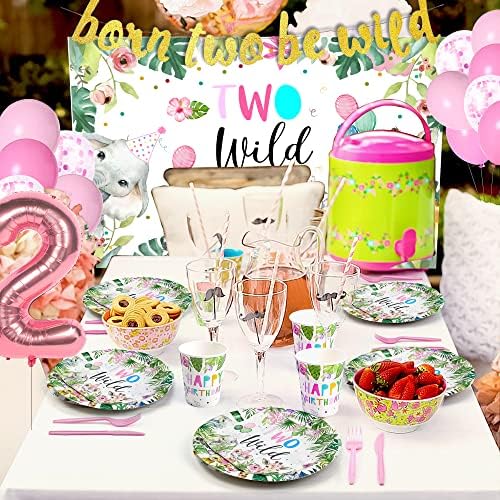 Two Wild Birthday Decorations Dinnerware for Girl
