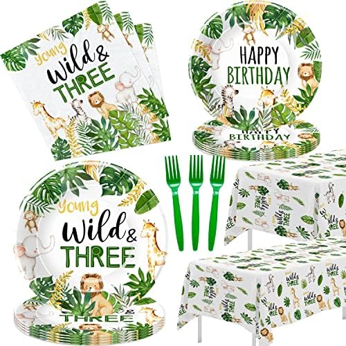 Jungle Animal 3rd Birthday Party Decorations Set Serves 24