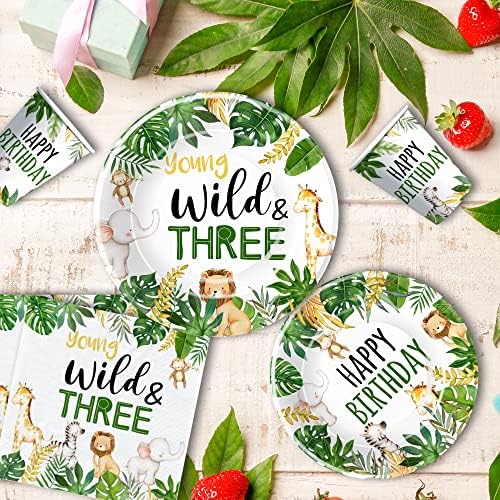 Jungle Animal 3rd Birthday Party Decorations Set Serves 24
