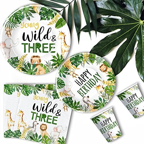Jungle Animal 3rd Birthday Party Decorations Set Serves 24