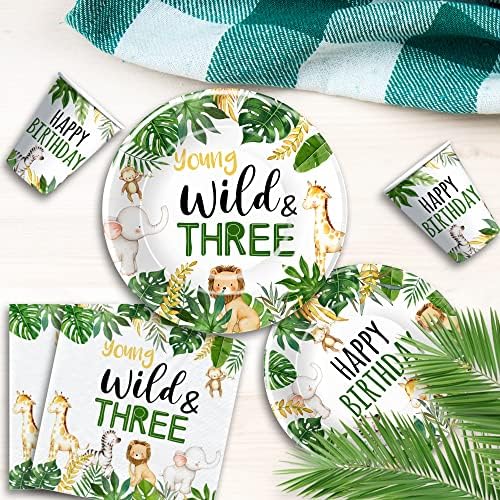 Jungle Animal 3rd Birthday Party Decorations Set Serves 24